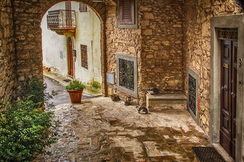 Village Cats of Chianti – Tuscan Photo Workshop