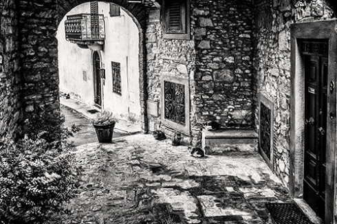 Village Cats of Chianti – Tuscan Photo Workshop