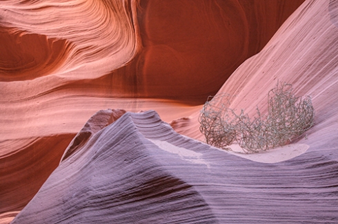 Tumble Weed - Antelope Canyon - Processed with Topaz Software