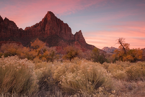 Watchman - Zion National Park - Raw Image
