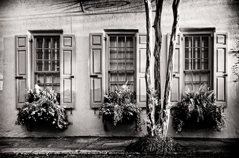 Three Windows. Charleston-Silver Efex Pro  
