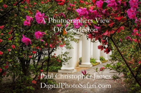 A Photographers View of Charleston