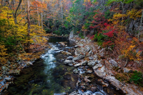 Fall Colors in the Smoky Mountains