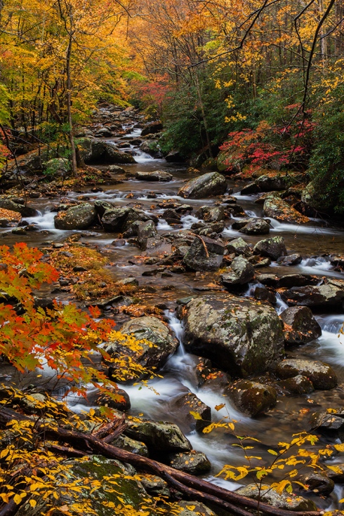 Fall Colors along the Rivers in the Smoky Mountains