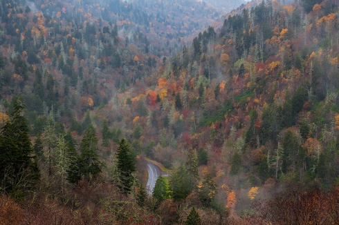 Fall Colors - Smoky Mountains